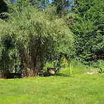 Fichtenwalde 別荘 ベーリッツ