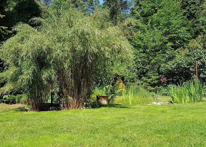 Fichtenwalde Semesterbostad Beelitz
